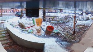 Под окном 2025 дек 01 - 2026 янв 02 не только кошаки и собаки