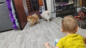 Подарочки от тёти Оли🤗