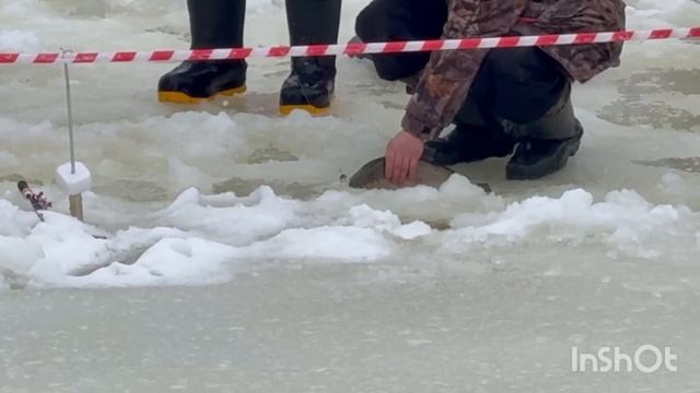 1000138103.mp4 смотреть онлайн