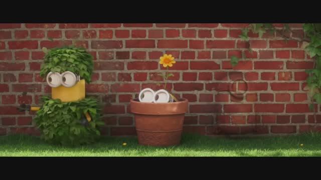 Вкусные приключения тайгеров! 😋 Дегустация овощей и новые продукты Милые тайгеры пробуют еду смотреть онлайн