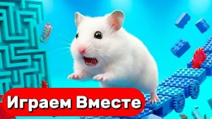 ХОМЯК ВЫБИРАЕТСЯ ИЗ СЕКРЕТНОЙ ХОМЯЧЕЙ ТЮРЬМЫ ! Играем ВМЕСТЕ ! Помогаем выбраться из лабиринта 2