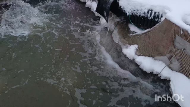 1000138092.mp4 смотреть онлайн