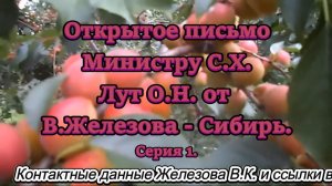 Открытое письмо Министру С.Х. Лут О.Н. от В.Железова - Сибирь. Серия 1.