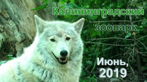 Калининградский зоопарк