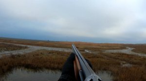 А УТКИ УЖЕ ЛЕТЯТ ВЫСОКО, Я ИМ ПО МАШУ РУКОЙ.. 2026