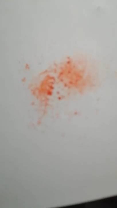 Вау и алиса магия