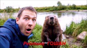 призыв на канал