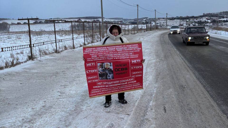 «Люди — не еда для собак». Женщины выходят на протест после гибели мальчика смотреть онлайн