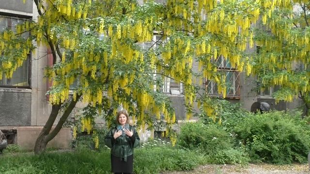 Зарядись энергией БОГатства, творчества и легкости! смотреть онлайн
