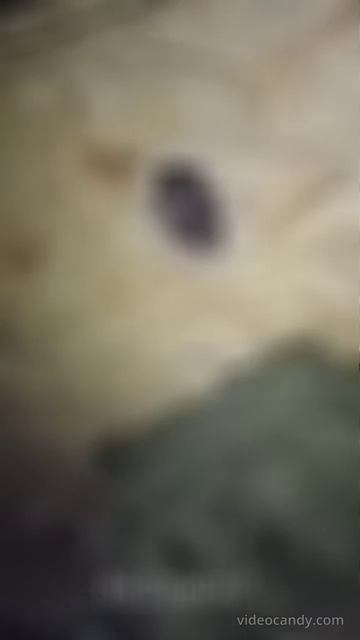 ⚡️СВО 18+ Харьковское направление смотреть онлайн