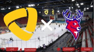 Северсталь - Торпедо | Текстовая трансляция