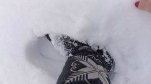 Зимняя красота на даче. Мои сосны стоят под снежным покрывалом.