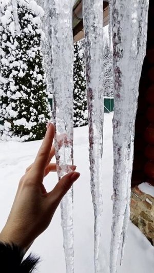 Холодное сердце