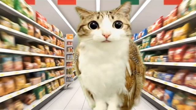 эдит с Z9kas1337 смотреть онлайн