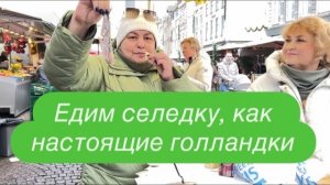 Маастрихт в Голландии и дома в Бельгии. #ежедневныйвлог #разговорподушам