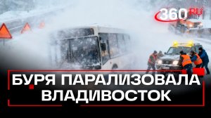 Снежная буря накрыла Владивосток