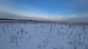 В поисках зайца. Прогулка по старым местам...