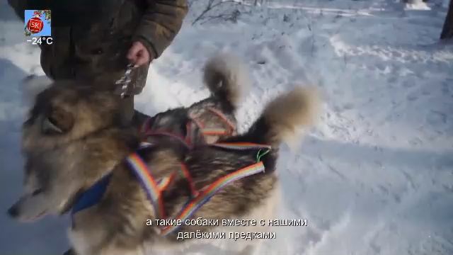 LIVE: Пятый Канский (5К) смотреть онлайн