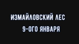 Что мы увидели днём 9-ого января в Измайловском лесу!?