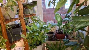 Зимний движ