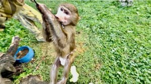 Я СМЕЮСЬ С АНФИСЫ ДО УПАДУ! А Денис рассказывает о нашем распорядке дня и его ПРЕДСТОЯЩЕЙ ГОЛОДОВКЕ!