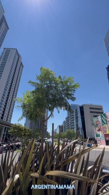 Район Пуэрто-Мадеро в Буэнос-Айрес