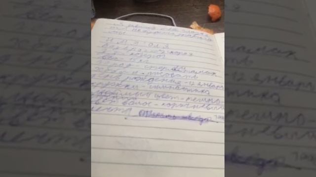 читаем мой дневник 2 смотреть онлайн