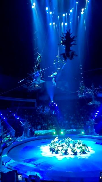 ВОЗДУШНЫЙ НОМЕР В ЦИРКЕ! смотреть онлайн