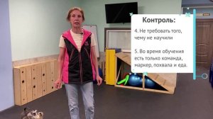 Бесплатные уроки. ВТОРОЙ.