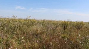 Таинственные земляные валы в центре России