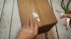 Снегопад 8-9 января. Циклон "Фрэнсис". Арт-материал. Мысли вслух.