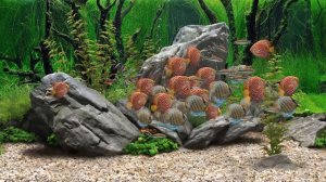 8 января 2026 г.