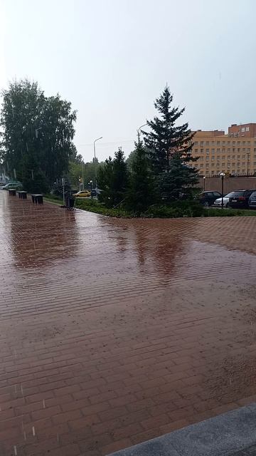 08.08.2024г г. Новосибирск Академгородок ул. Николаева 12 Технопарк смотреть онлайн