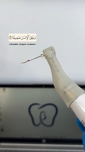 Насколько удивительно… Эта малая частица огромного тела способна вызывать столь мучительную боль…