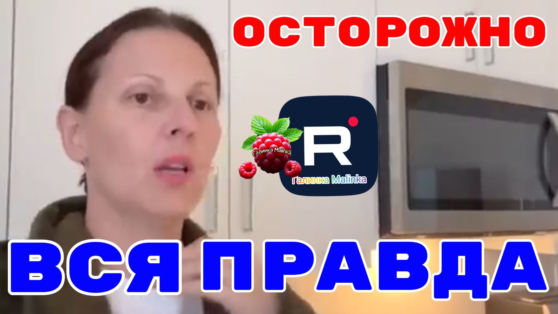 Big Big Family in the USA _Осторожно Вся Правда _Обзор _Биг Биг Фэмэли _Funny 4 _Лиса в Америке смотреть онлайн