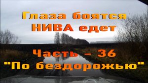 Глаза боятся НИВА едет. Часть - 36. "По бездорожью"