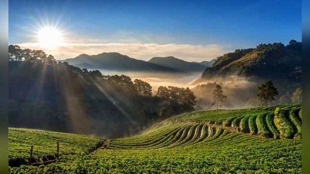 Эти 7 продуктов моментально растворят ТРОМБЫ в сосуда? смотреть онлайн