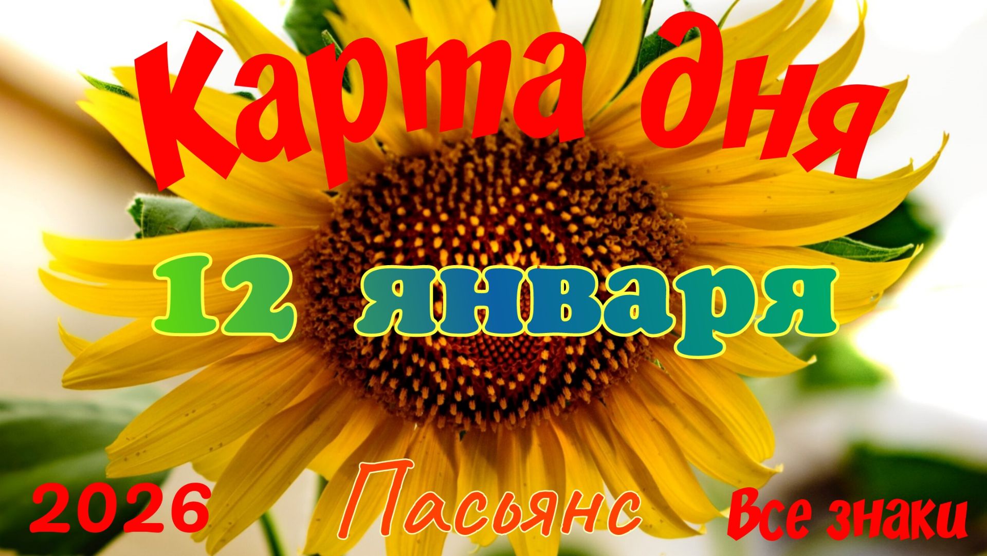 Карта дня❄12 января🎄☃️Пасьянс. Тайм-код в описании🦢 смотреть онлайн