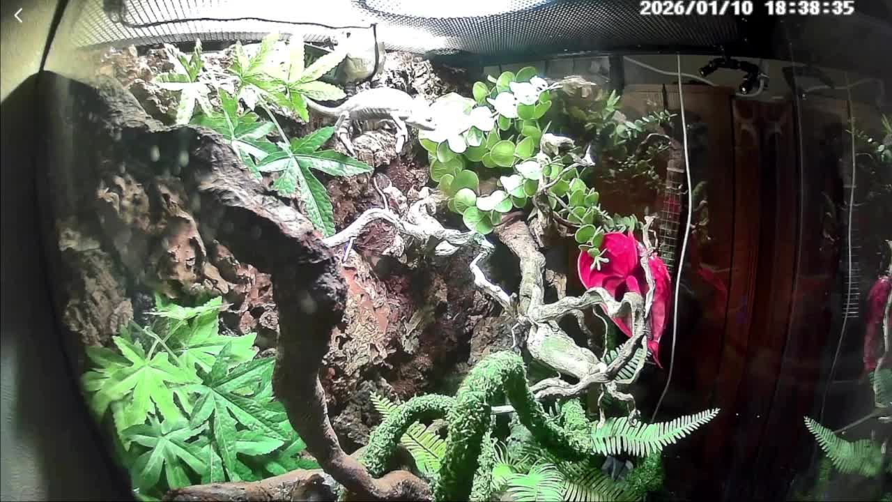 Себастьян и релакс