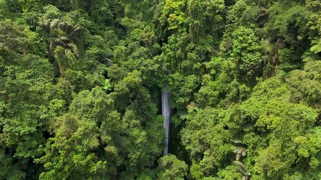 Прогулки по дикой природе_ 16K Video ULTRA HD _ Dolby Vision 16K HDR смотреть онлайн
