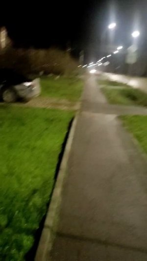 Обнаглевшие КОТЫ в богатом районе 😅