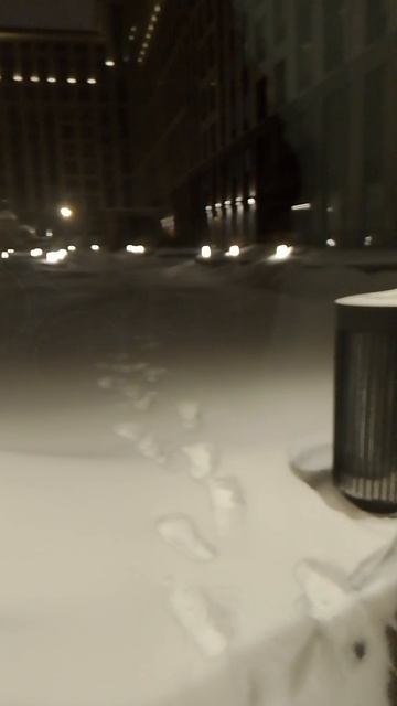 1000090908.mp4 смотреть онлайн