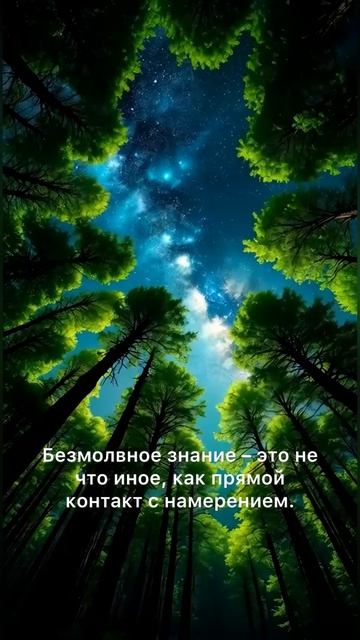 Карлос Кастанеда. Колесо времени. Контакт #кастанеда #психология #судьба #сознание #нагваль