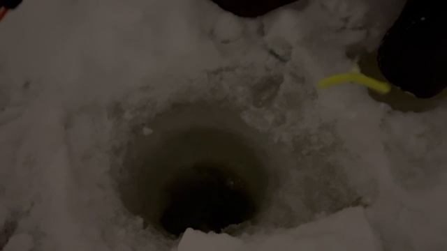 1000138302.mp4 смотреть онлайн