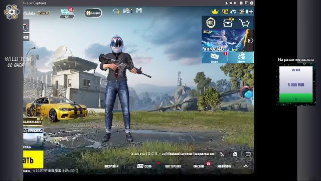 LIVE: WildTom_YouTube