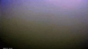 подводный мир