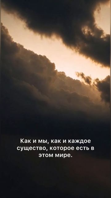 Карлос Кастанеда. Колесо времени. Мир #кастанеда #психология #судьба #сознание #нагваль