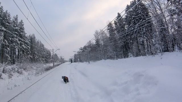 Первый выезд на дачу в 2026 году Часть 2 (2) смотреть онлайн