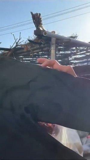 Сабзиро Подборка