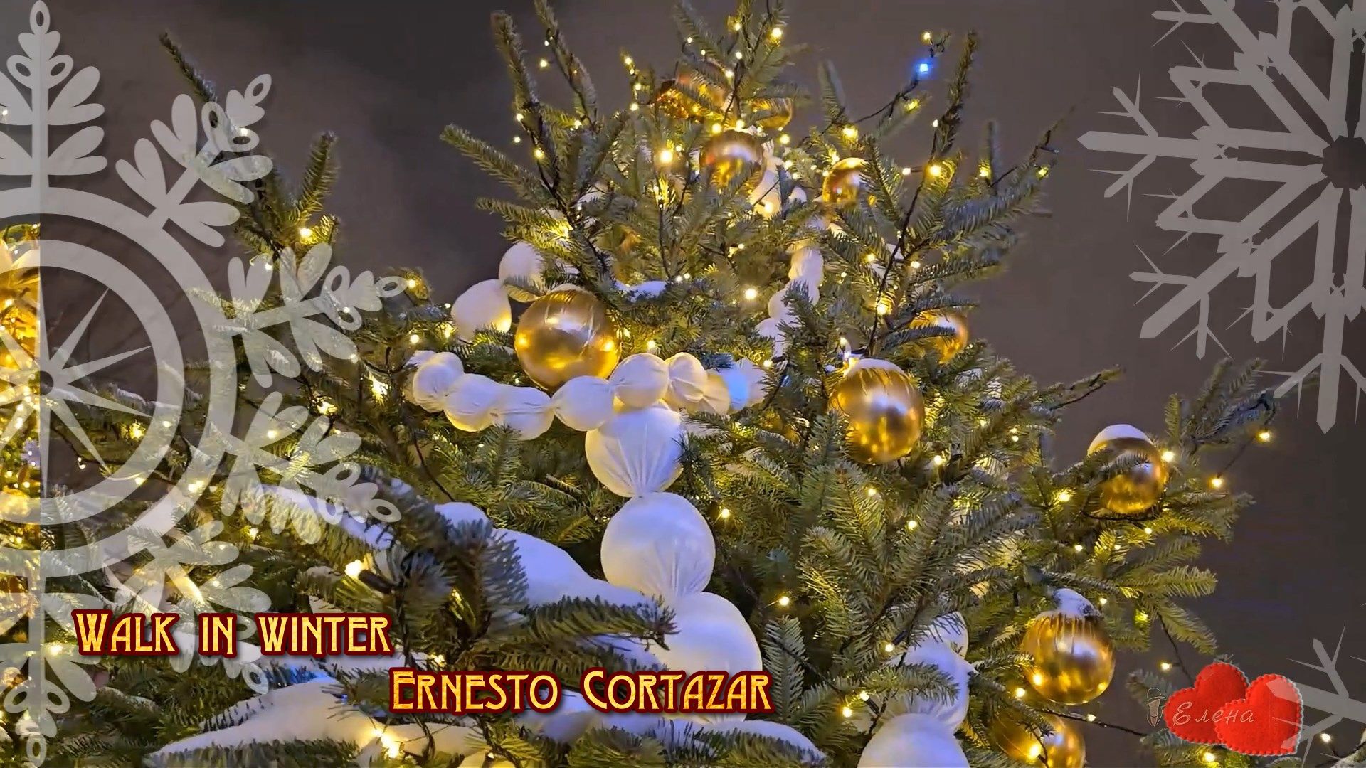 Walk in winter * Ernesto Cortazar смотреть онлайн